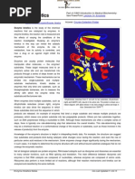 Enzyme Kinetics Notes