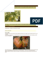 [ 6 ] PEST - 2012 - InSECTI - Gradinariscusit - CRAITE - 2 Craite Pt. 6 Tomate