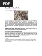 Download Ternak Kroto Media Toples by Asrarudin Hamid SN186909847 doc pdf