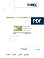 Contenido Programatico Ic3 Gs3