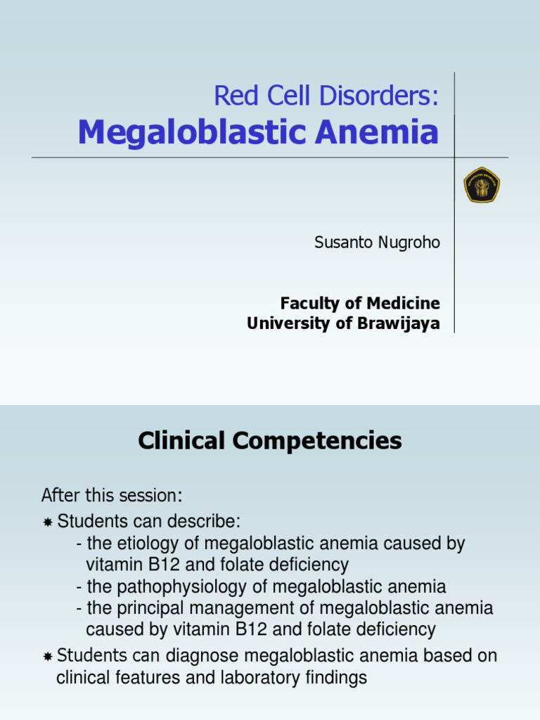 7 Megaloblastic Anemia | PDF | Anemia | Vitamin B12