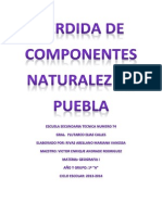 Perdida de Componentes Naturalez en Puebla