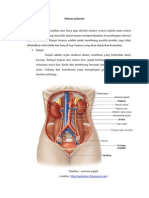 Sistem Urinaria