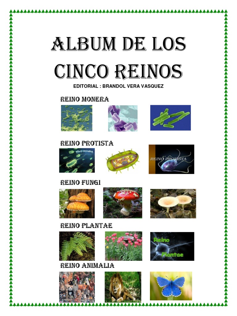 Album de Los Cinco Reinos | PDF | Plantas | Hongo