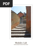 Download Symantec Lab exercise by dsunte SN186977327 doc pdf