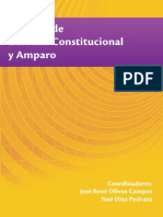 Libro Derecho Constitucion Aly Amparo