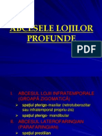 125987262-Abcese-Loji-Profunde