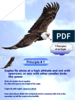 7 Priciples of An Eagle