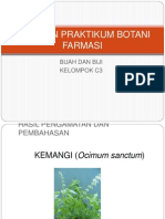 Laporan Botani Kemangi