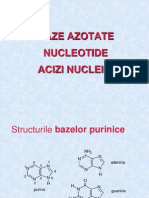 7. Baza Azotate. Acizi Nucleici