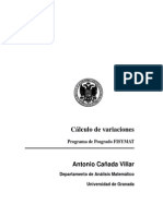 Cálculo de variaciones - Antonio Cañada Villar -Universidad de Granada