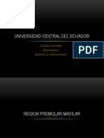 Presentacion Region Premolar Maxilar