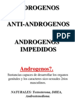 2.4. Androgenos