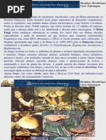 196752_Micro - 720091