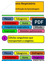 9 S Respiratorio Teste 1 PDF