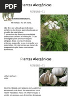 Plantas Alergênicas