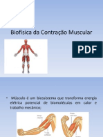Biofísica Músculo Contração