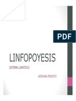 Linfopoyesis Introductorio