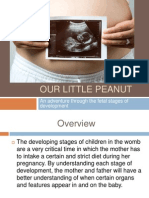 Our Little Peanut