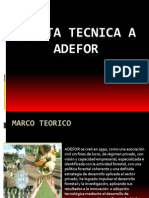 Visita Tecnica A Adefor