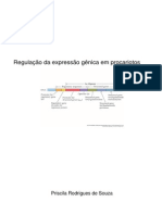 regulaodaexpressognicaemprocariotoseeucariotos-130302135100-phpapp02