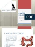 Cancer Colorrectal PDF