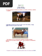 Razas de Vacuno de Carne