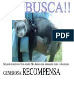 se busca dueño