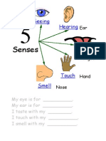 Senses For Children