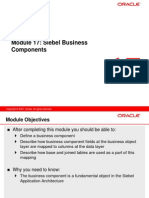 17 Siebel Business Components