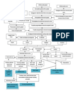 Pathway Urolitiasis