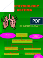 Pathophysiology of Asthma