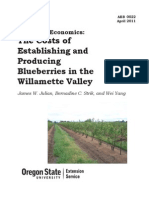 Blueberries production economics