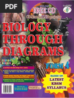 Cell Structure and Organisation | PDF | Endoplasmic Reticulum | Cell ...