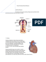 Sistem Peredaran Darah Manusia