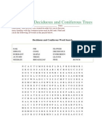 Activity On Deciduous and Coniferous Trees