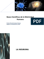 Neurona Unidad Basica Del S.N.C