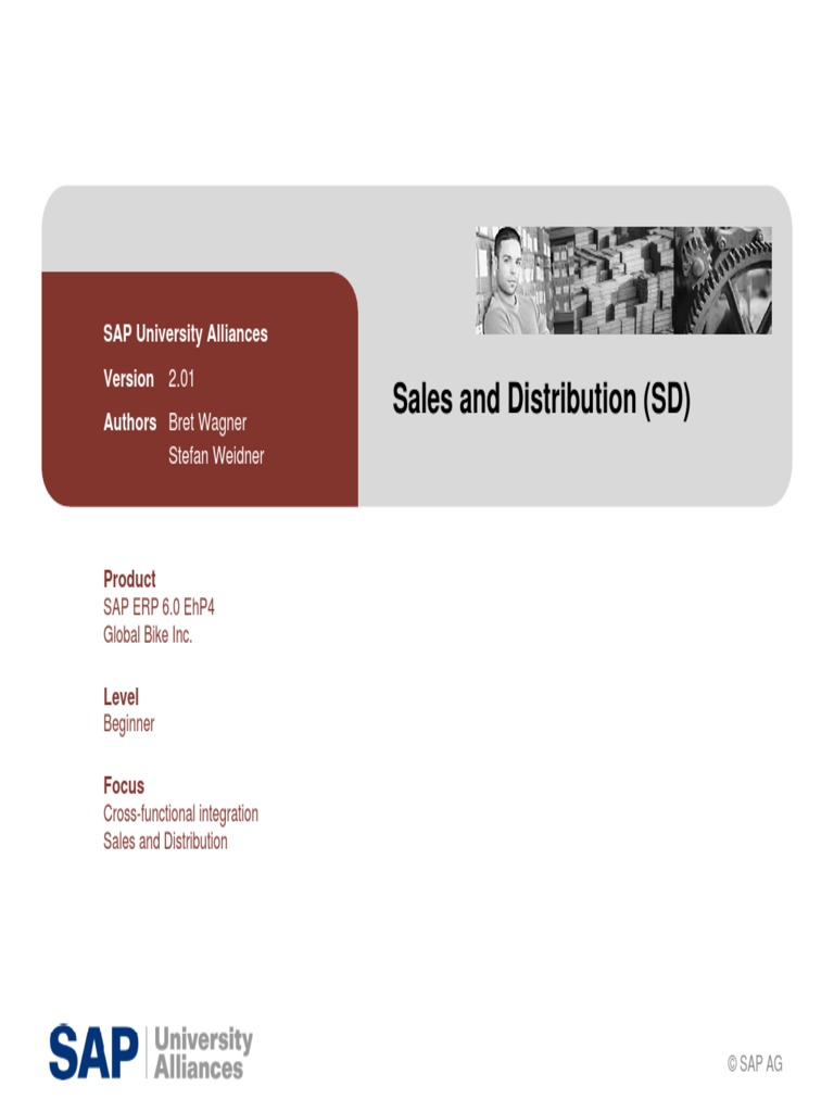 SAP SD Overview for Beginners | PDF