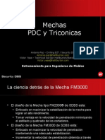 MECHAS FM3000_Customer_Pres. Español