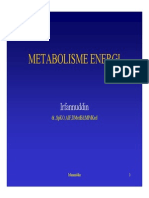 IT 26 - Metabolisme Energi - BS