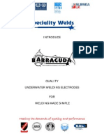 Barracuda Profile Doc6 PDF