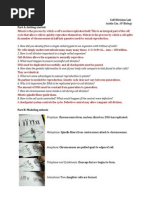 Download Cell Division Lab by tworedpartyhats SN187251685 doc pdf