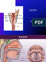 Blok 6 - IT 18 - Larynx - MBA