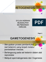 2 Gametogenesis