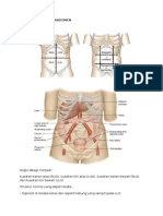 Pemeriksaan Fisik Abdomen