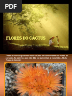 9 Flores Do Cactus