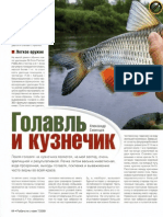 Голавль 1 PDF