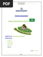 Dettol Brand Audit Final