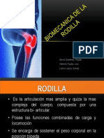 Biomecanica de La Rodilla