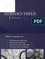 Nervous Tissue - Poone